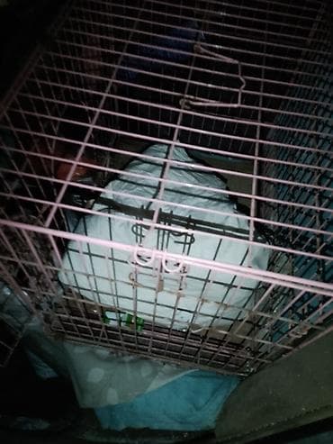 унитас бу: Унитаз продаю — 3