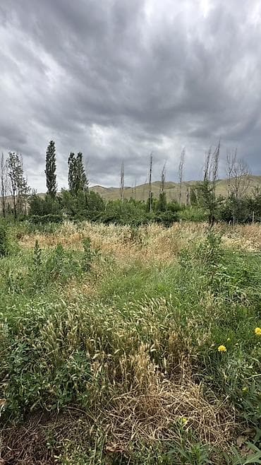 Үйлөр: 📍 В Сокулукском районе в селе Конуш продаётся дом на участке 15 соток — 5