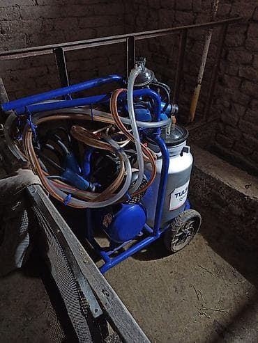 Доильный аппарат на тележке Tulsan Описание: - Мобильный доильный