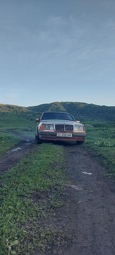 john dere: Mercedes-Benz W124: 1990 г., 2.9 л, Механика, Дизель, Седан — 2