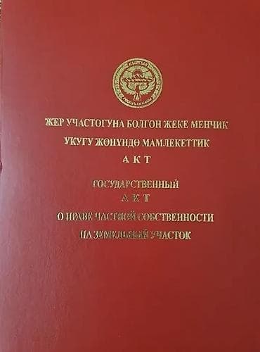 дом участок кара балта: 30 соток, Для бизнеса, Красная книга — 1