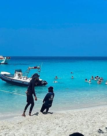 беде урук бишкек: Готовим японскую кухню, пиццу, суши и бургеры. Поможем «раскачать» — 4