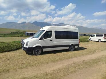 продаю титановый диска подходить деу нехиа подходит: Volkswagen Crafter: 2008 г., 2.5 л, Механика, Дизель, Бус — 2