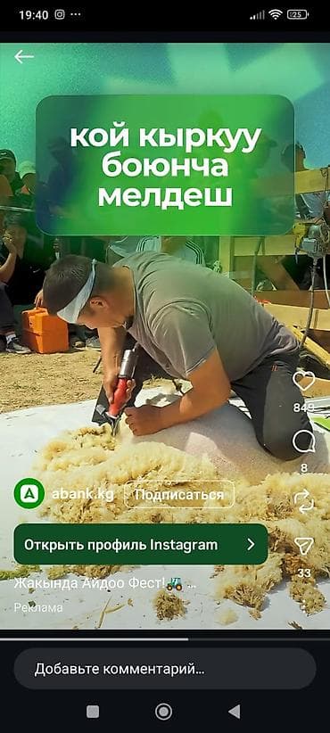 Ветеринар кызматы: Услуга стрижки овец - Профессиональная стрижка овец электрическими — 1