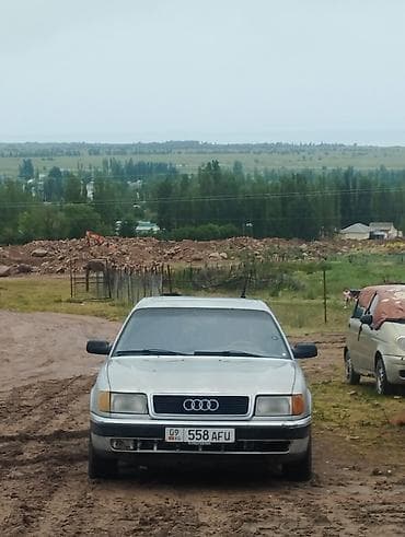 радиатор охлаждения ауди а6с5: Audi 100: 1991 г., Механика, Бензин, Седан — 1
