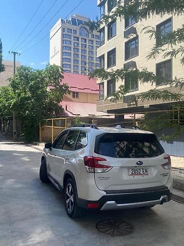 кайловеры субару: Subaru Forester: 2020 г., 2.5 л, Автомат, Бензин, Внедорожник — 2