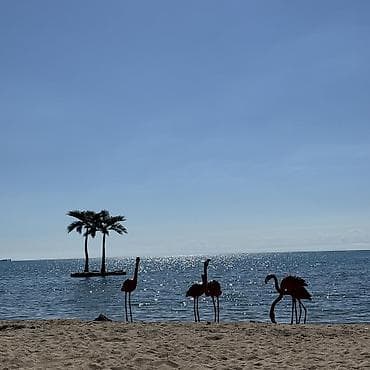 3 3: Коттедж, Palm Beach, Чок-Тал, 4 места — 9