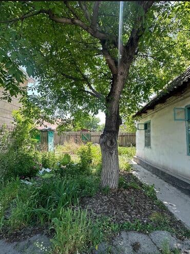 бесплатные объявления недвижимость бишкек: Дом, 80 м², 4 комнаты, Агентство недвижимости, Старый ремонт — 3