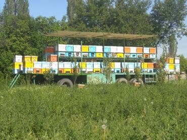 продаю медогонку: Продам полностью рабочую мобильную пасеку с прицепом. ✅ Вместимость — — 3