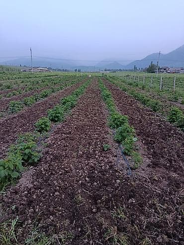 фучика 18 а: 115 соток, Для бизнеса — 3