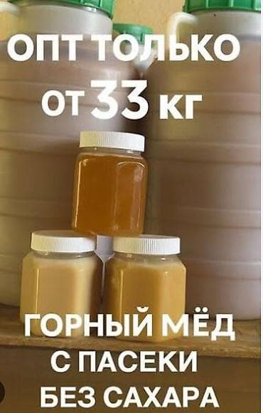 Токтогулдун тоо балы сатылат майский таза бачогу 13000сом сүйлөшүү — 4