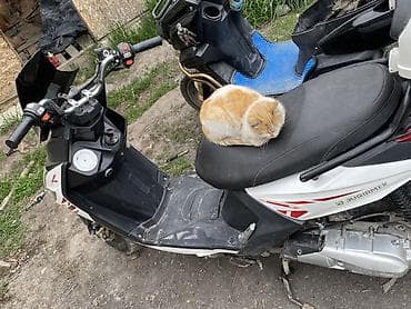 daf 95xf: Продаю самурай 150 куб. Пластика все на месте. Состояние хорошая — 4