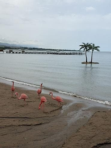 Кыймылсыз мүлк: Коттедж, Palm Beach, Чок-Тал, 7 орун — 9