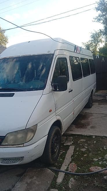 Mercedes-Benz Спринтер: 2000 г., 2.5 л, Механика, Дизель, Бус — 4