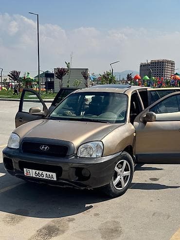 Продажа авто: Hyundai Santa Fe: 2003 г., 2.7 л, Автомат, Газ, Внедорожник — 8