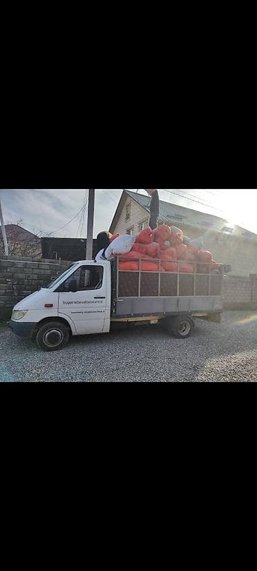 аренда транзбоя: Грузоперевозки на бортовом Mercedes-Benz Sprinter - Бортовой грузовик — 5