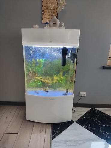 Аквариум заводской Senagr Aquatics с тумбой и крышкой 120 литров