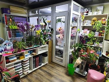 Соода: Бизнес сатуу Дүкөн, Гүлдөр, Төмөнкүлөр менен бирге: Кардарлар жана жеткирүүчүлөр базасы — 1