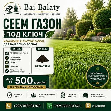 Профессиональный посев газона «под ключ» от Bai Balaty Что получите