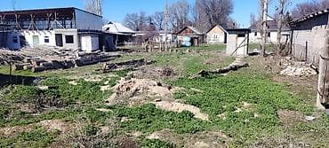 в манасе: Продаётся участок с времянкой, 10 соток, район Аламудунский р-н — 3
