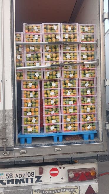 Мандарины Оптом