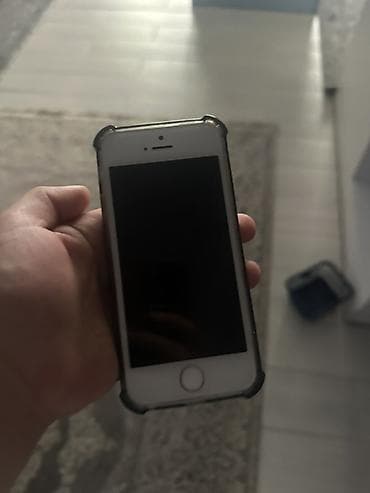 IPhone SE, Серебристый, Чехол