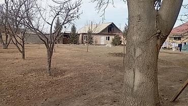 Кыймылсыз мүлк: 25 соток, Кызыл китеп — 7
