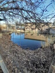 продажа дом село джал: 14 соток, Красная книга — 10