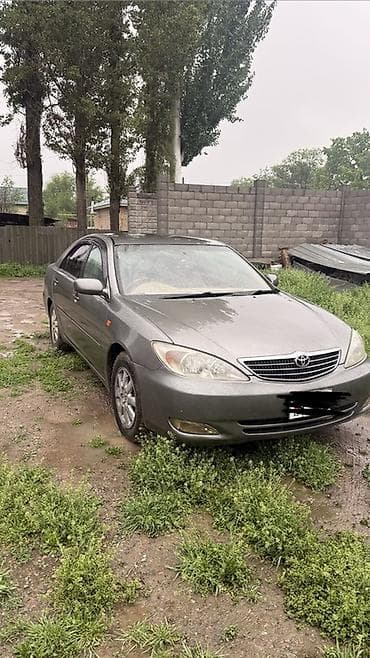тайота грузовик: Toyota Camry: 2003 г., 2.4 л, Автомат, Газ, Седан — 2