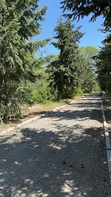 афрейм иссык куль: Домик у озера для летнего отдыха - Расположение: в сосновом массиве у — 4