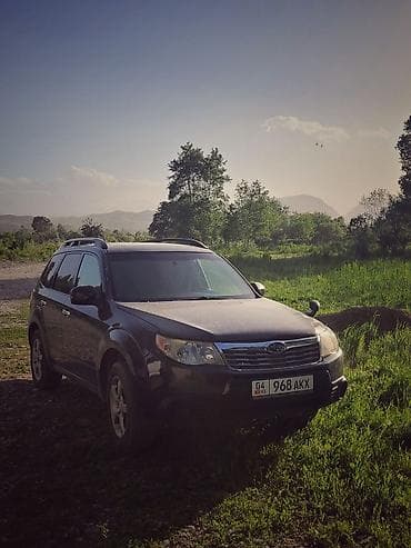 Subaru Forester: 2009 г., 2.5 л, Автомат, Бензин, Кроссовер