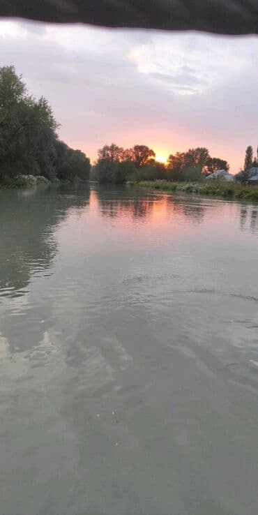 Официант. С опытом