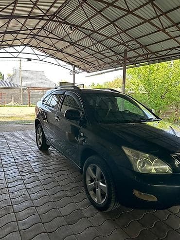 Lexus RX: 2003 г., 3 л, Автомат, Бензин, Кроссовер — 10