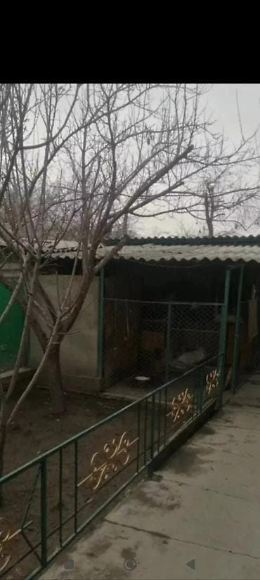 3 комната: 57 м², 3 комнаты, Парковка, Забор, огорожен — 1