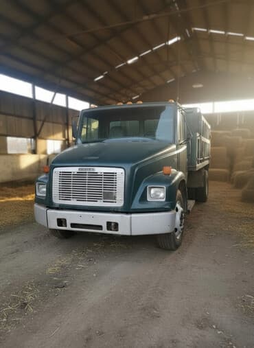 n макси: Продаю или меняю FREIGHTLINER. Самосвал — 1