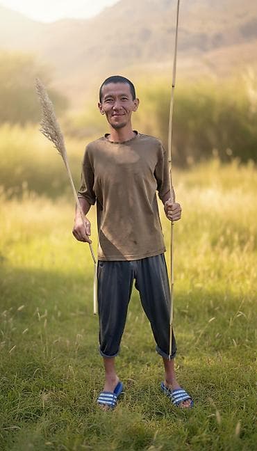 Пучки высушенного камыша (тростника) для ремёсел и отделки -