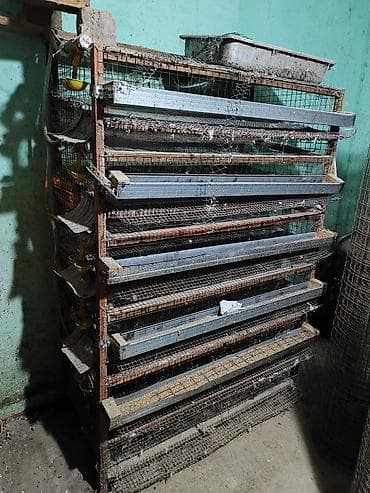 клетка для перепел: Батарея клеток для перепелов/мелкой птицы, многоярусная Описание: - — 3