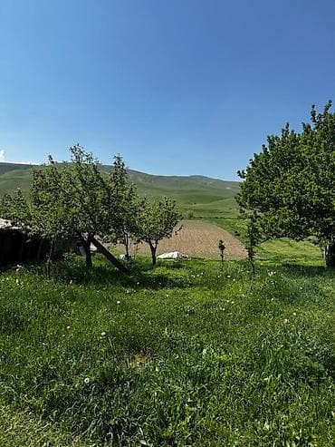 зеленный городок: 15 соток, Для строительства, Красная книга, Тех паспорт, Договор купли-продажи — 5