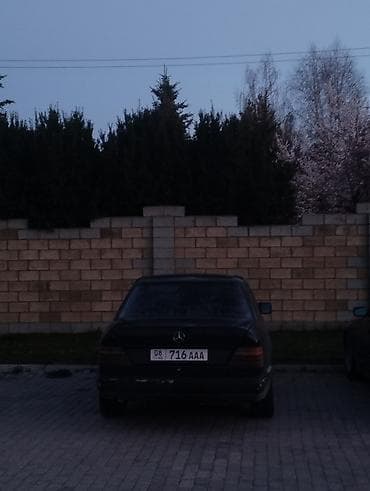jet ski: Mercedes-Benz W124: 1989 г., 2.9 л, Механика, Дизель, Седан — 7