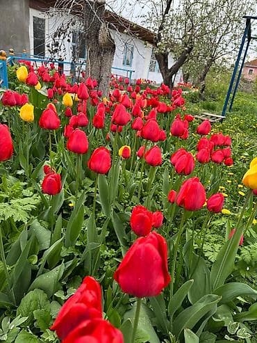 письменные столы бишкек: Самовывоз — 8