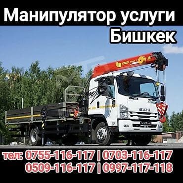 Манипулятор, Mitsubishi