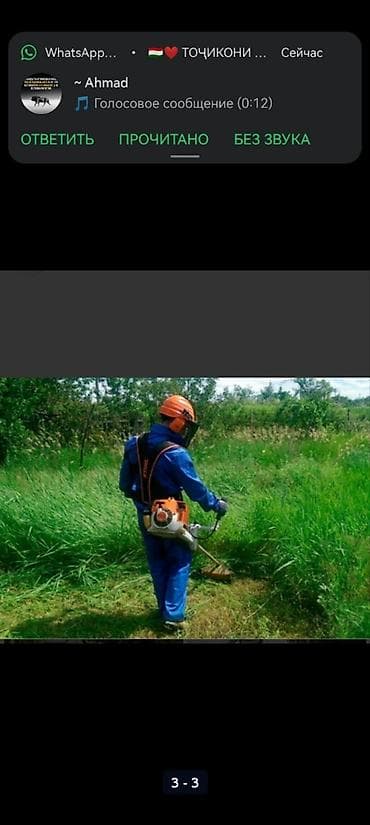 пересадка дерева: Уборка территории, Уборка снега, Уборка двора и сада, Мойка фасада — 2