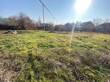 село восток дом: 17 соток, Для бизнеса, Красная книга — 3