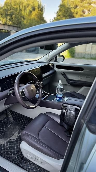 комбинированная: BYD Song Plus: 2023 г., 1.2 л, Автомат, Электромобиль, Кроссовер — 9