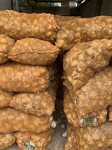 Продукты питания: Чеснок Оптом, Самовывоз, Платная доставка — 3