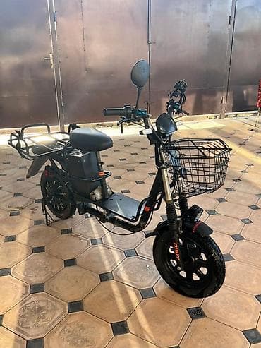 электро макси: С двумя аккумуляторами 60w30, 60w40 — 3