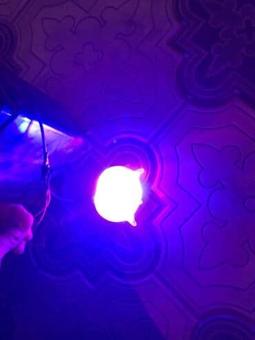 противотуманные фары бишкек: Сова пара 600 сом горит белый желтый красный синий — 7