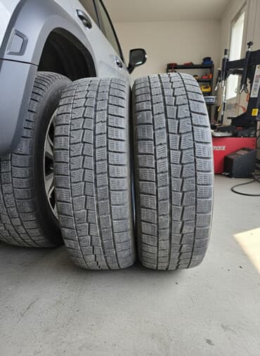 купить шины 18565 r15: Шины 185 / 65 / R 15, Зима, Пара, Легковые, DUNLOP — 1