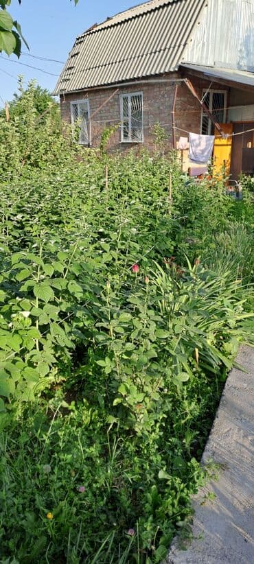 продаю дом в покровке: Дом, 10 м², 4 комнаты, Собственник, Евроремонт — 8