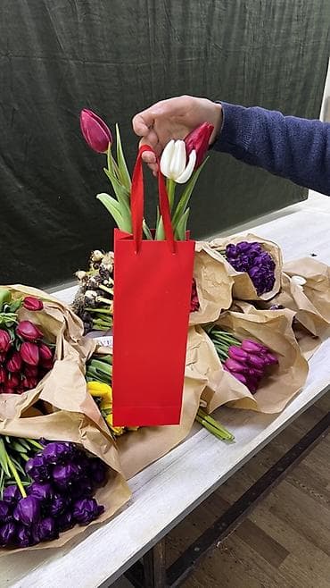 фуксию: Всем привет 👋 продаю Тюльпаны 🌷 упакуем как на фото и доставим — 2